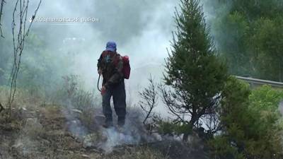 В Башкирии ликвидировали все лесные пожары