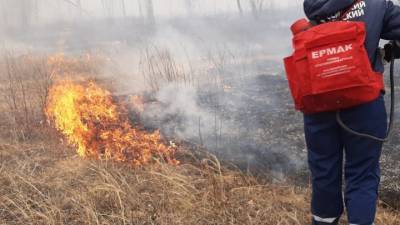 В Башкирии погиб волонтер, помогавший огнеборцам тушить лес