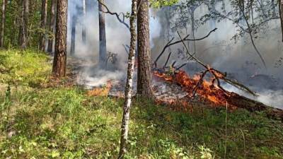 В Башкирии умер волонтер, прибывший тушить лесные пожары