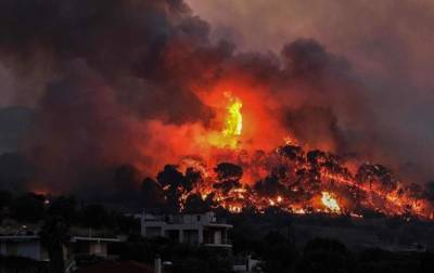 В Греции вспыхнул масштабный лесной пожар