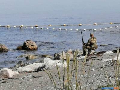 На корсаковской речке Жуковке рыбаки стреляют по голодным нерпам