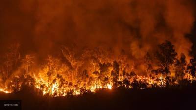 Жителей трех греческих городов эвакуировали из-за бушующих лесных пожаров