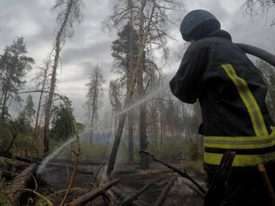 Спасатели продолжают тушить пожар в Луганской области