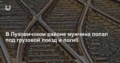 В Пуховичском районе мужчина попал под грузовой поезд и погиб