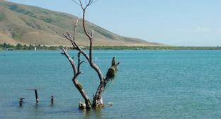 Цветение озера Севан вновь заставило обсудить пути его спасения
