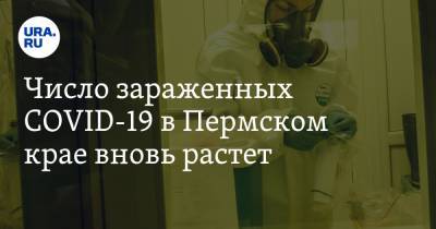 Число зараженных COVID-19 в Пермском крае вновь растет