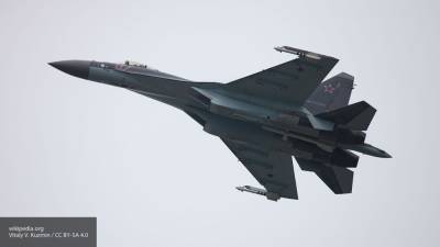 Sohu назвал главную особенность российского истребителя Су-35С