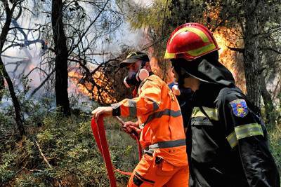 Пригороды Афин эвакуируют из-за сильных лесных пожаров