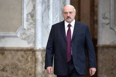 В Белоруссии началась «политическая пандемия» - Александр Лукашенко