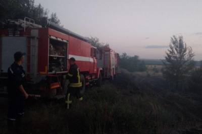 Спасатели локализовали лесной пожар в Луганской области, - ГСЧС