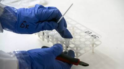 Мишустин: учёные не видят предпосылок для второй волны коронавируса