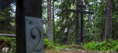 Прокуратура Карелии выяснила, что в Медвежьегорске хоронят людей в лесу, потому что закончилось место на кладбище