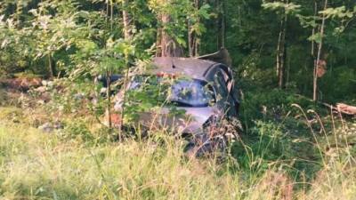Женщина-водитель погибла в ДТП в Ленобласти