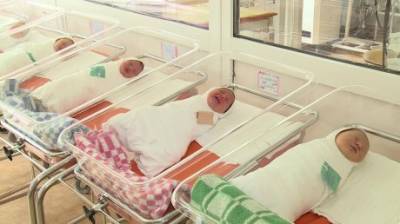 В Пензе за полгода бесплатное питание получили 3 628 малышей