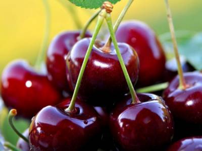 Десерт не для всех: диетологи заявили о вред фруктов и ягод после обеда