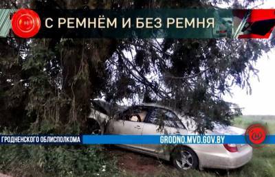 «Тойота» врезалась в дерево в Островецком районе: пассажир с ушибами и переломами доставлен в больницу