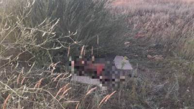В Саратовской области тракторист нашел в поле труп женщины