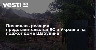 Виталий Шабунин - Матти Маасикас - В ЕС отреагировали на поджог дома Шабунина - vesti.ua