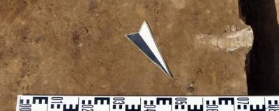 В Омской области нашли наконечник стрелы эпохи позднего палеолита