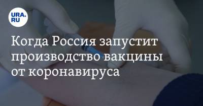 Когда Россия запустит производство вакцины от коронавируса. Отвечает Матвиенко