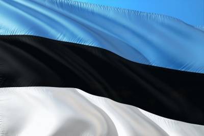 Посла России вызвали в МИД Эстонии из-за переписывания истории