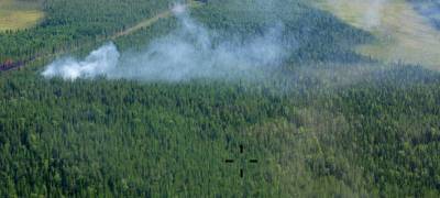 Три лесных пожара на севере Карелии заметили с самолета