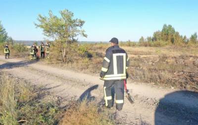 Пожар в Луганской области ликвидировали