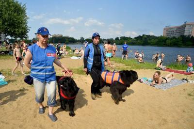 Собаки-спасатели приступят к дежурству на пляжах Москвы с 25 июля
