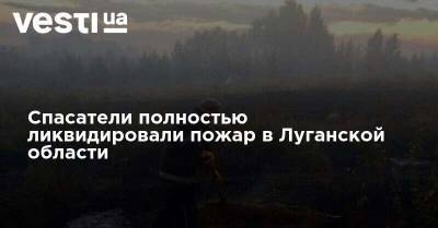 Спасатели полностью ликвидировали пожар в Луганской области