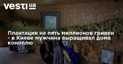 Плантация на пять миллионов гривен - в Киеве мужчина выращивал дома коноплю