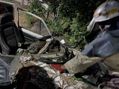Смертельное ДТП в Днепропетровской области: ВАЗ врезался в дерево