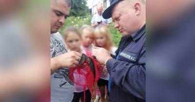 Фото: Пожарные по просьбе детей спасли ласточку в Подмосковье