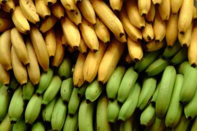 На мировом рынке произошёл банановый коллапс, цены падают