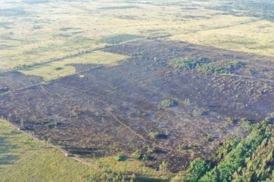 В Луганской области ликвидировали пожар в лесничестве