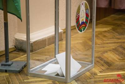 БСДП (Грамада) назвала своего фаворита на президентских выборах