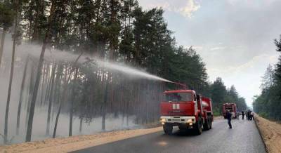 Спасатели потушили лесной пожар на Луганщине, возникший в результате обстрела оккупантов