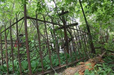 В Карелии людей начали хоронить в лесу из-за нехватки мест на кладбище