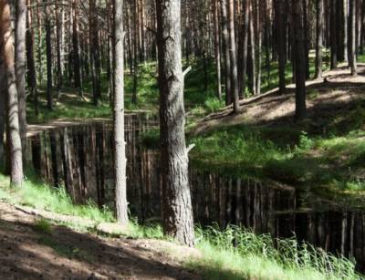На Украине взявший в заложники полицейского преступник скрылся в лесу