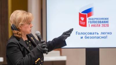 Памфилова поручила убрать из соцсетей опросы ЦИК: "Там голосуют боты"