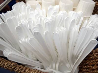 В Калужской области запустят производство бумажной одноразовой посуды