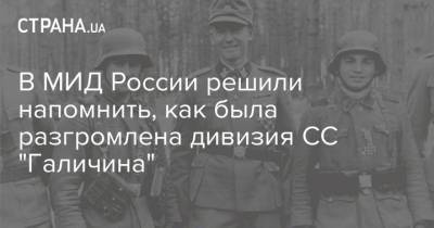 В МИД России решили напомнить, как была разгромлена дивизия СС "Галичина"