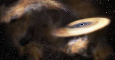 Новое открытие показало, как прячутся черные дыры