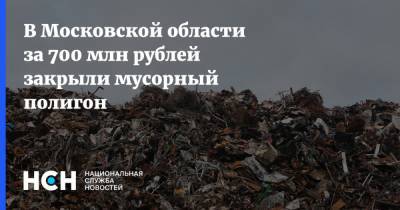 В Московской области за 700 млн рублей закрыли мусорный полигон