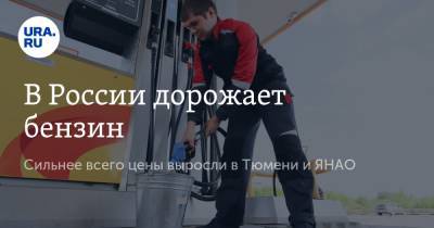 В России дорожает бензин. Сильнее всего цены выросли в Тюмени и ЯНАО