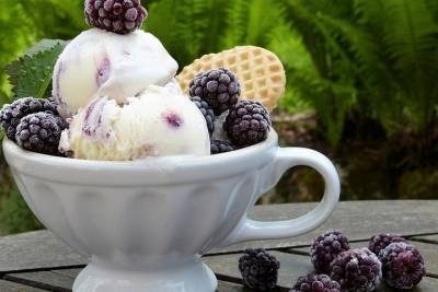 Волгоградцам назвали рецепты вкусного домашнего мороженого