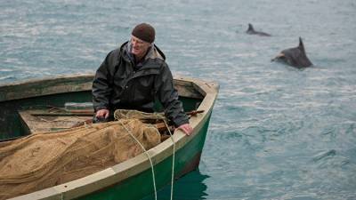 Почему дельфины в Крыму погибают в сетях - мнение ученого