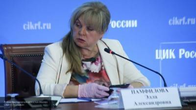 Памфилова назвала нерепрезентативными опросы в соцсетях о голосовании на выборах