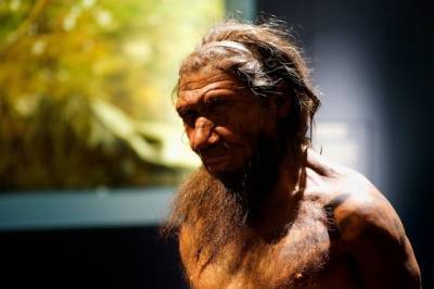 Люди с неандертальским вариантом гена ионного канала сильнее чувствуют боль