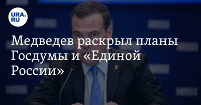 Медведев раскрыл планы Госдумы и «Единой России»