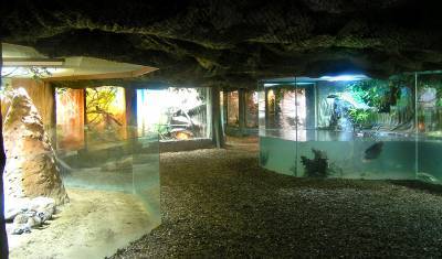 В чешском зоопарке открыли аквариум, в котором рыбы плавают среди пластикового мусора